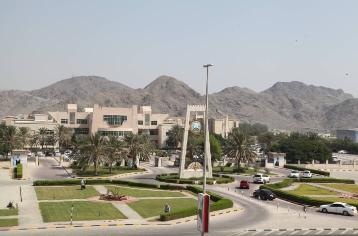 جامعة الفجيرة تخصصات