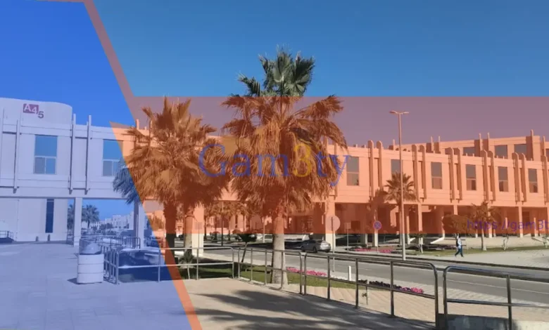 تخصصات جامعة الامام عبدالرحمن بن فيصل