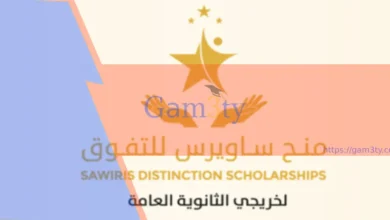 منحة ساويرس 2024للتفوق